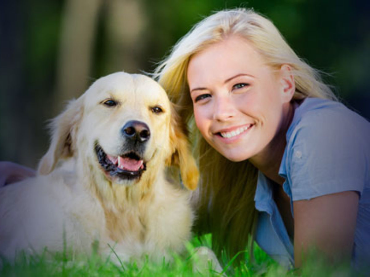 dog trainer in Anhalt